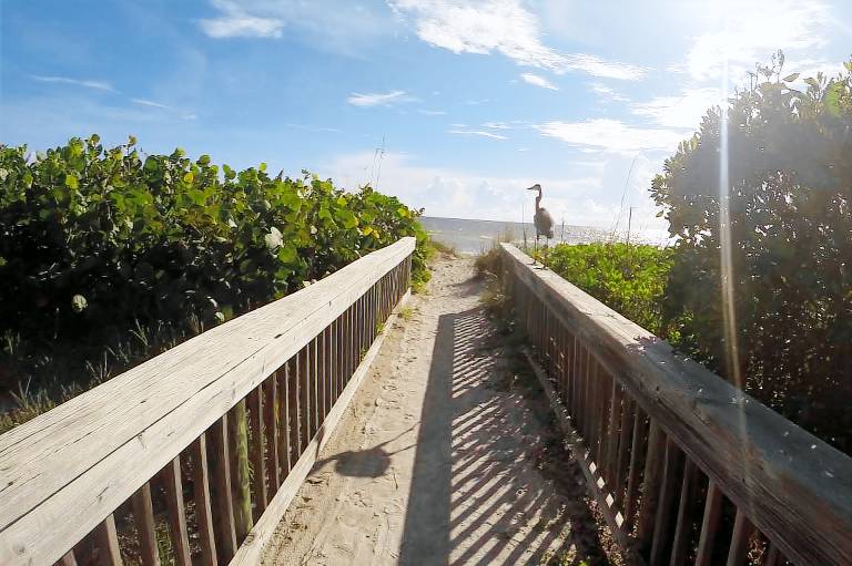 Condo  Lido Key