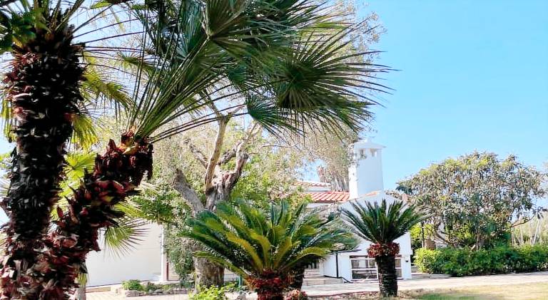 Villa with 2 rooms for 6 persons in Alghero