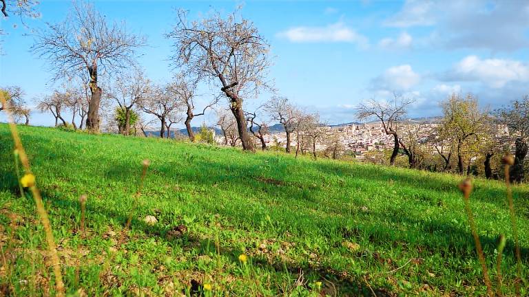 foto12