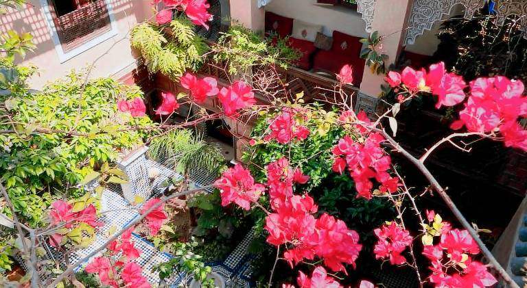 Riad Toyour- Riad of birds in Fes