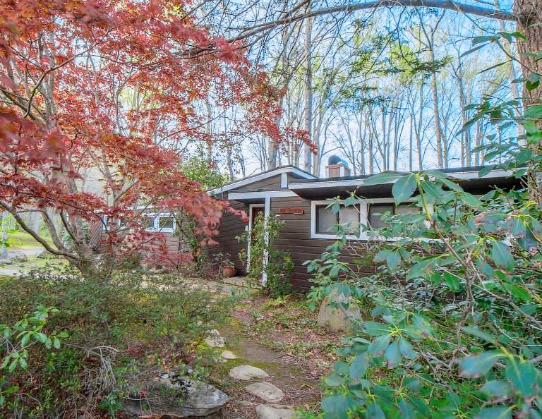Cabin Black Mountain