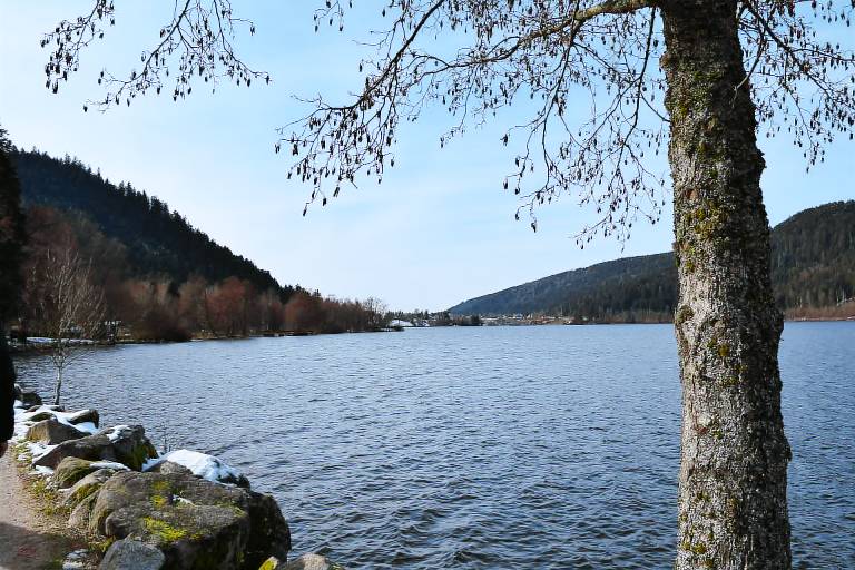 Appartement Gérardmer