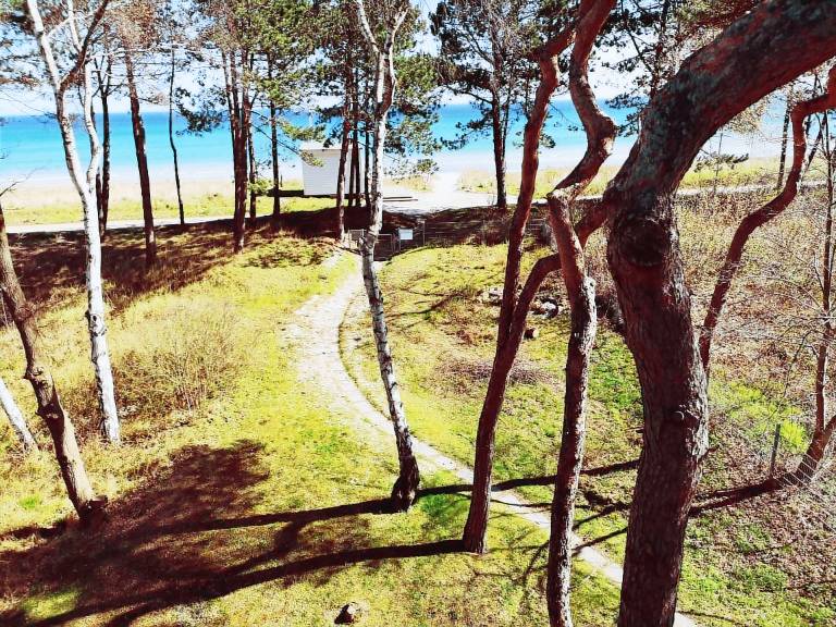 Rental apartment | Sea view — photo 5