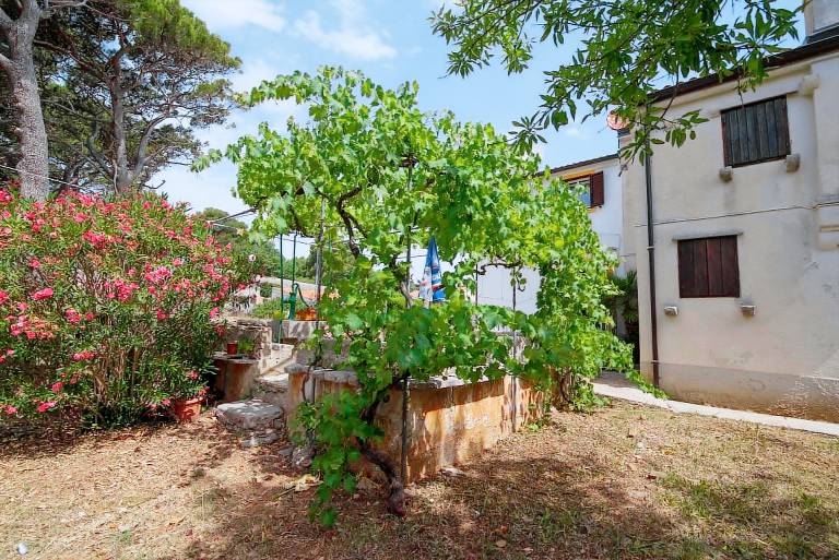 Ferienwohnung  Veli Lošinj