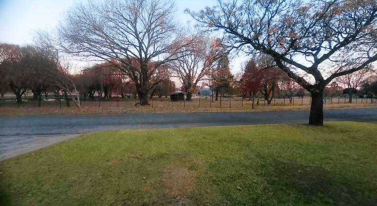 foto5