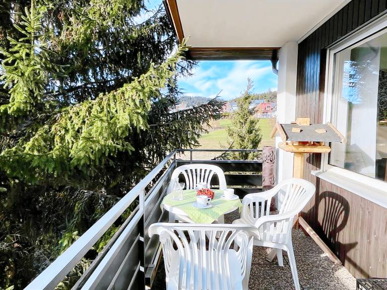 Ferienwohnung mit Hund in Schluchsee für max. 3 Personen