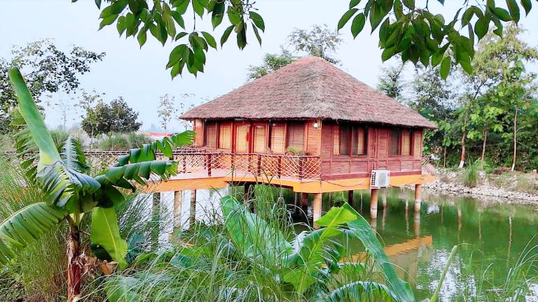 Jungle Heritage Resort