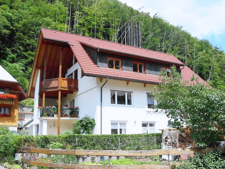 Ferienhaus Todtnau