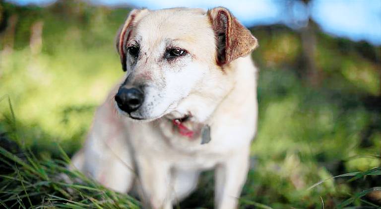 Agroturystyka Biskupiec