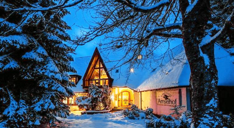 Apartment with yard, BBQ & sauna in Hinterzarten