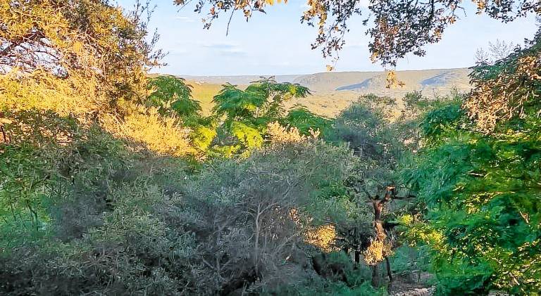 Vacation home with 4 rooms for 10 persons in Canyon, TX