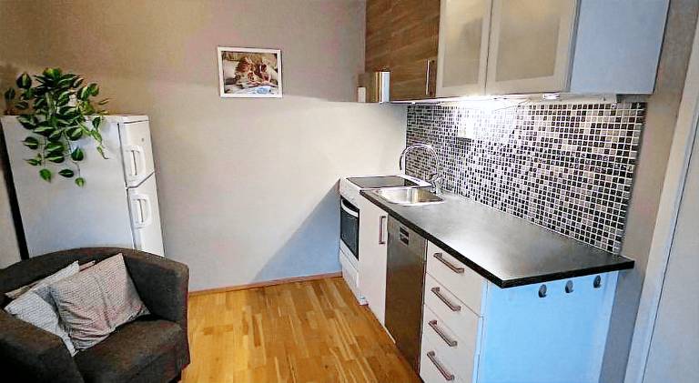Apartment with 1 room for 3 persons — photo 4