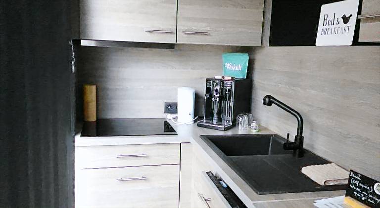 Studio Gardenroom Guesthouse De Steenberg met wellness & tuinzicht — photo 4