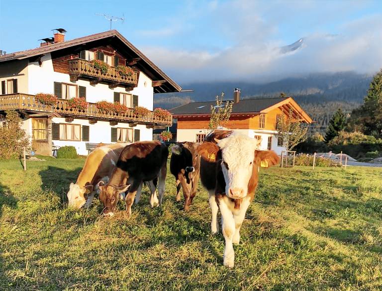 foto4