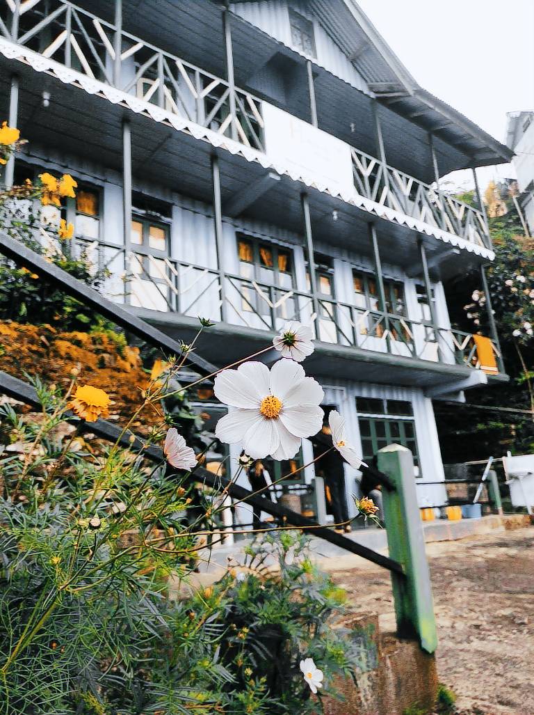Zivaan's Hollyhocks Cottage, Rishop in Darjeeling