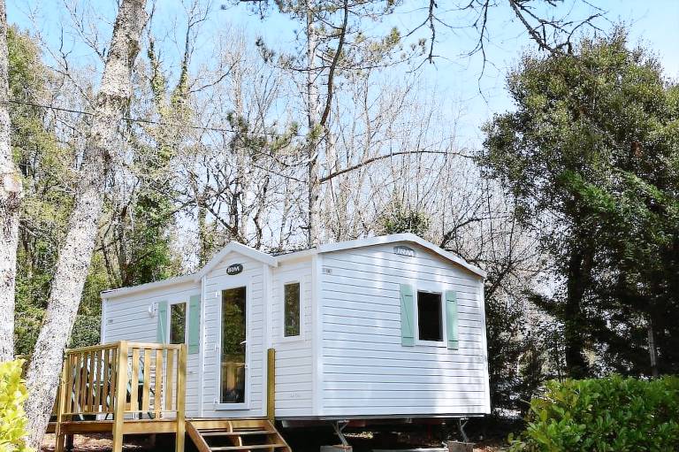 Camping  Vers