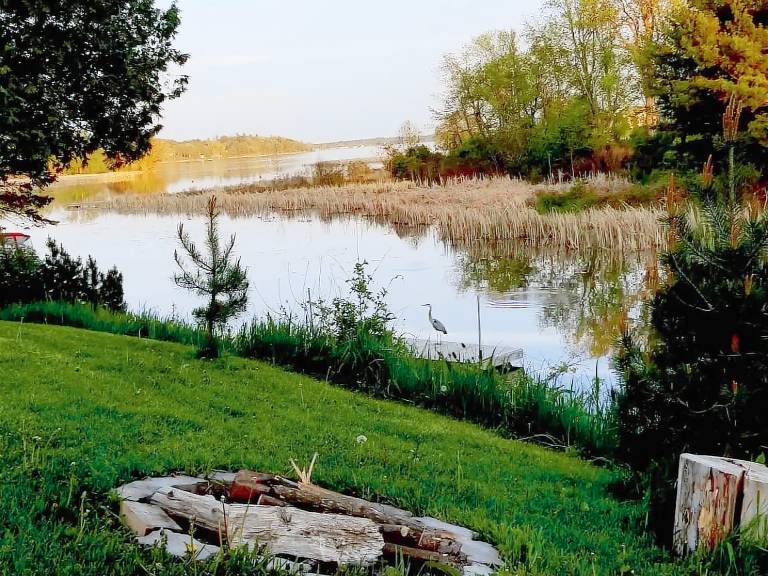 Cottage  Gananoque