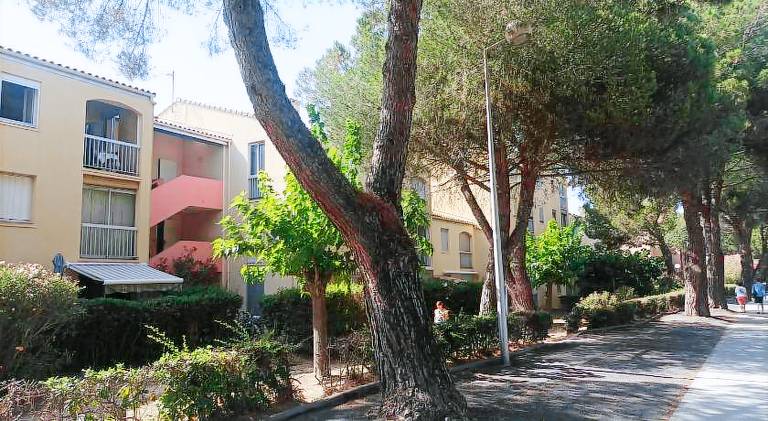 Holiday apartment with 1 room for 4 persons — photo 4