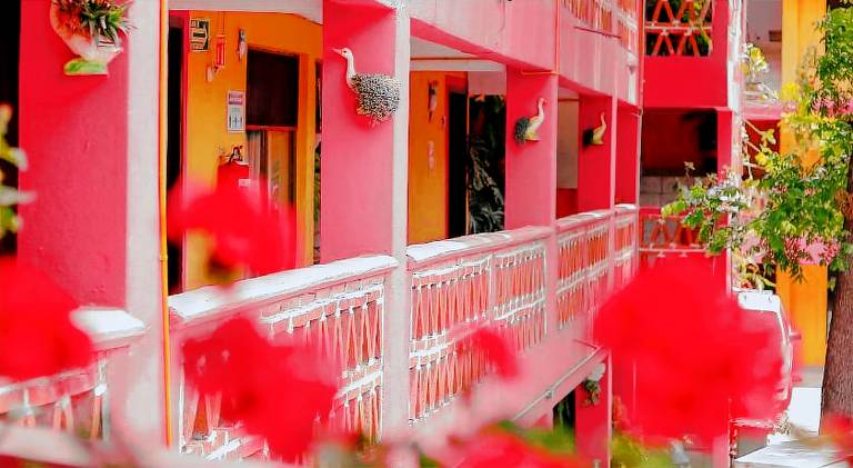 El Jazmin de Zanya — photo 3