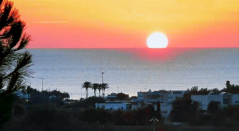 Beautiful house with terrace, yard & pool | Good for workation | Dogs allowed in Alezio