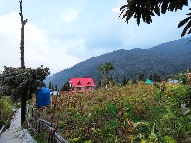 Krishna Cottage Darjeeling offbeat Rampuria in Darjeeling