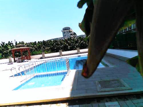 Appartement Kargıcak Mahallesi