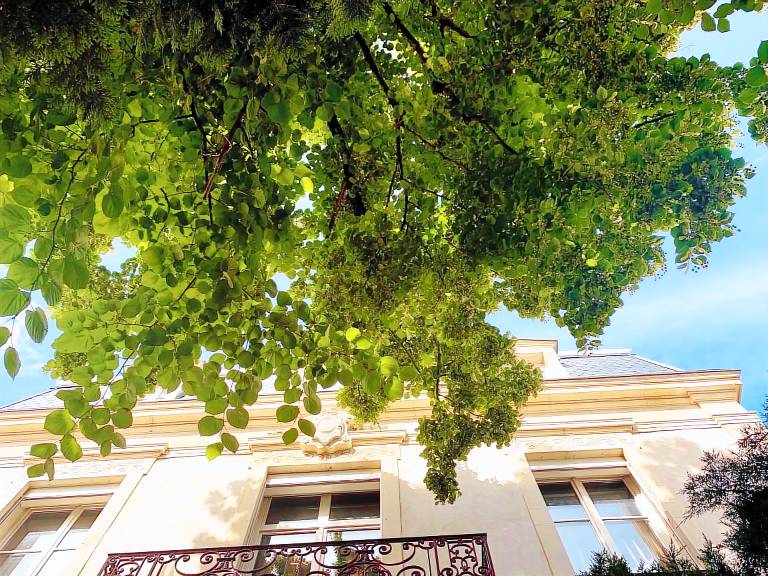 Villa Nancy