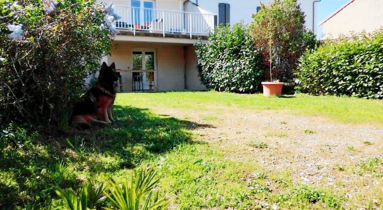 Apartment | Pets are welcome in Millau