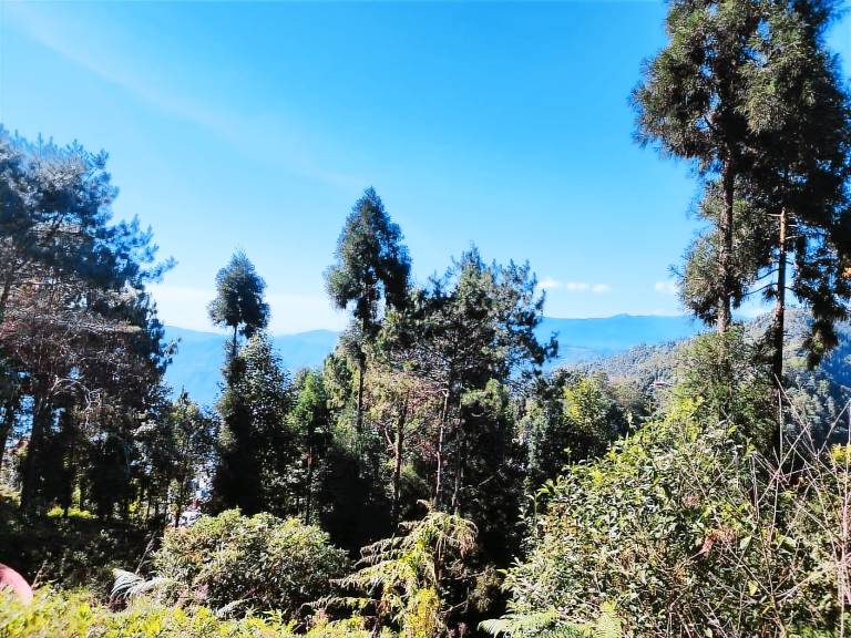 Marmen Homestay Delo Hills — photo 3