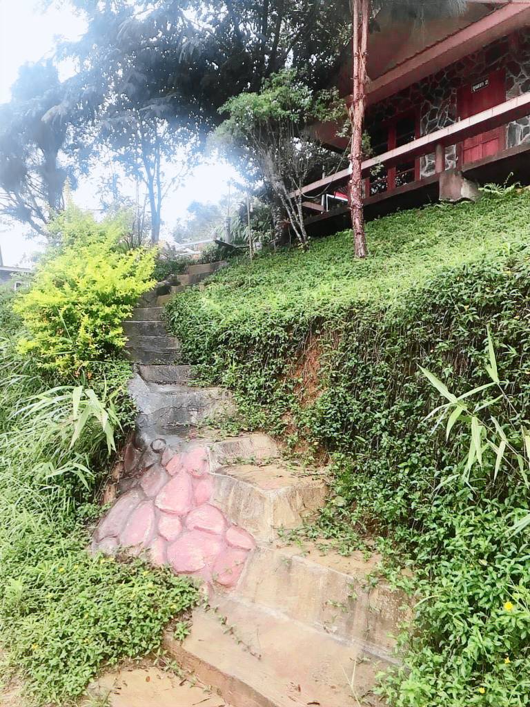 Nice villa with yard | Dogs allowed — photo 5