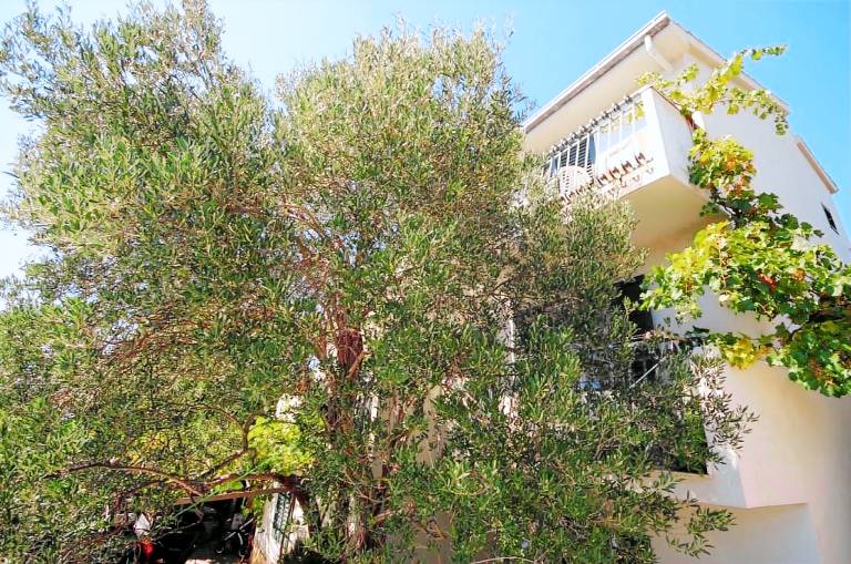 Apartament  Okrug Donji