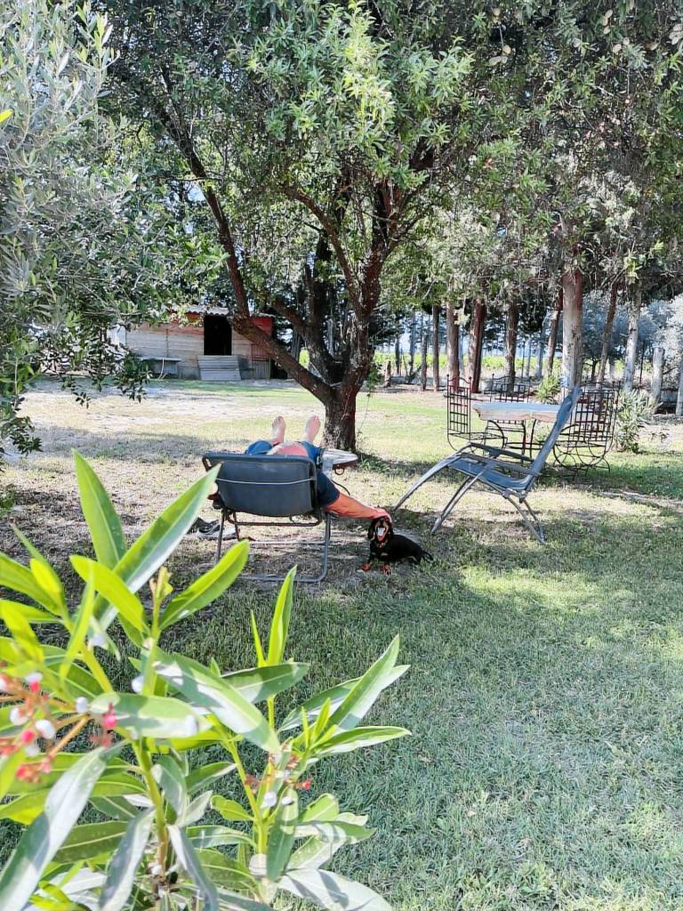 Cottage Vacqueyras