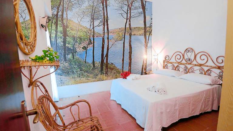 Child-friendly holiday apartment with barbeque & garden | Garden view | Next to the beach | Dogs allowed — photo 4