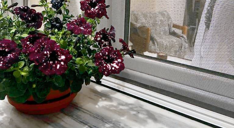 House with 1 room for 7 persons in Kavala