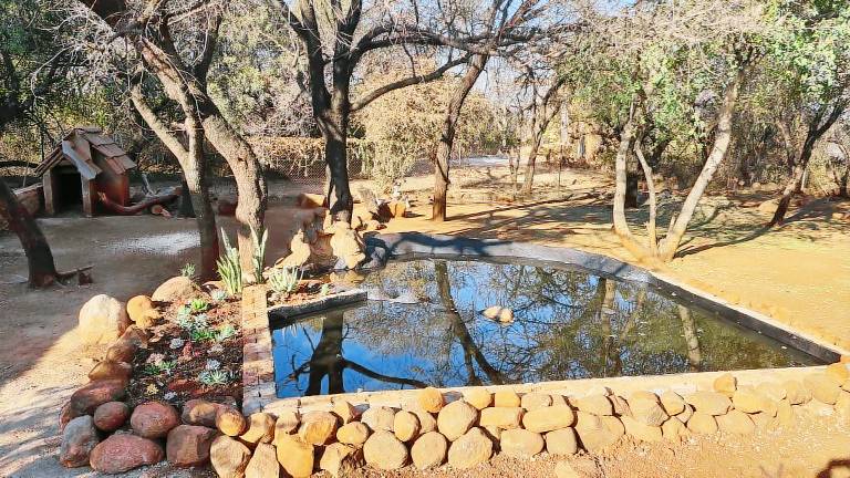 Vacation home with yard, private pool & BBQ | Perfect for remote work | Pets allowed — photo 5