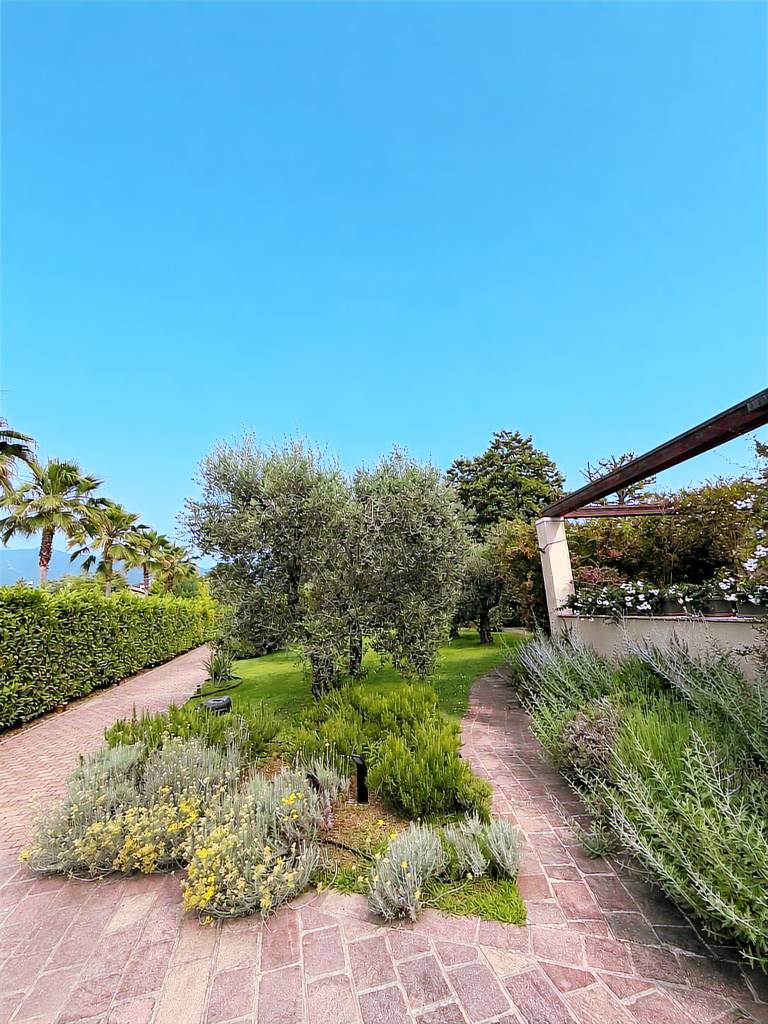 foto2