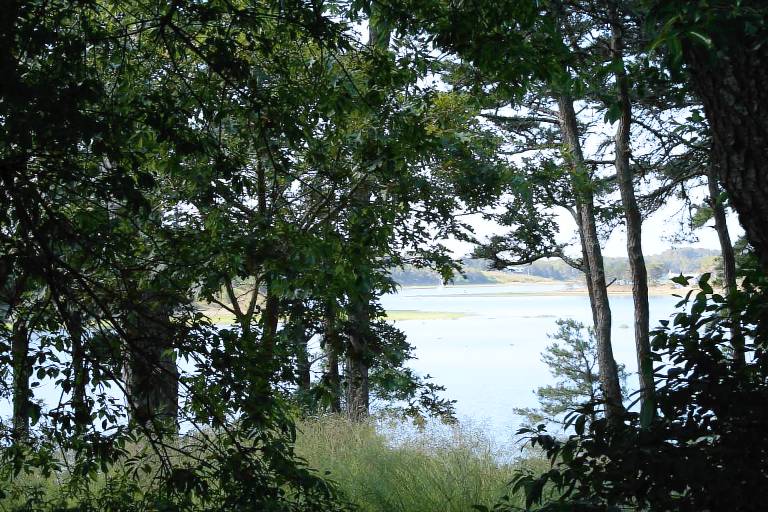 Cottage Wellfleet