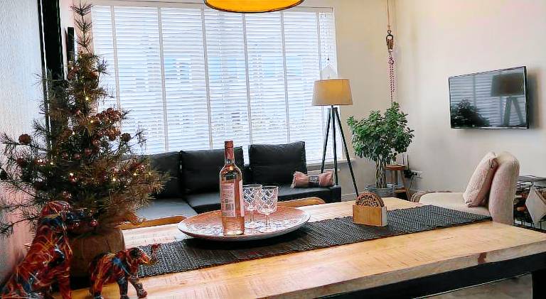 Apartment with terrace — photo 4