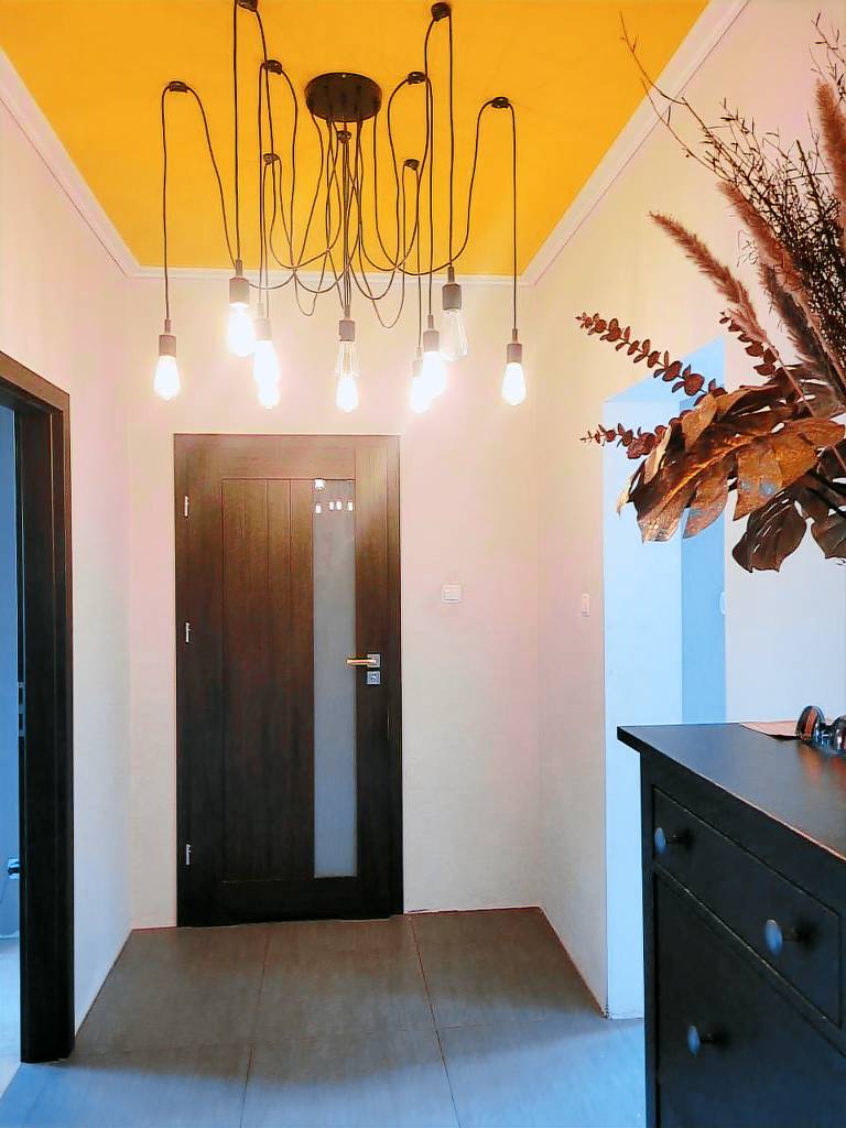 Family-friendly charming dedicated room with yard | City view | Pet-friendly — photo 2