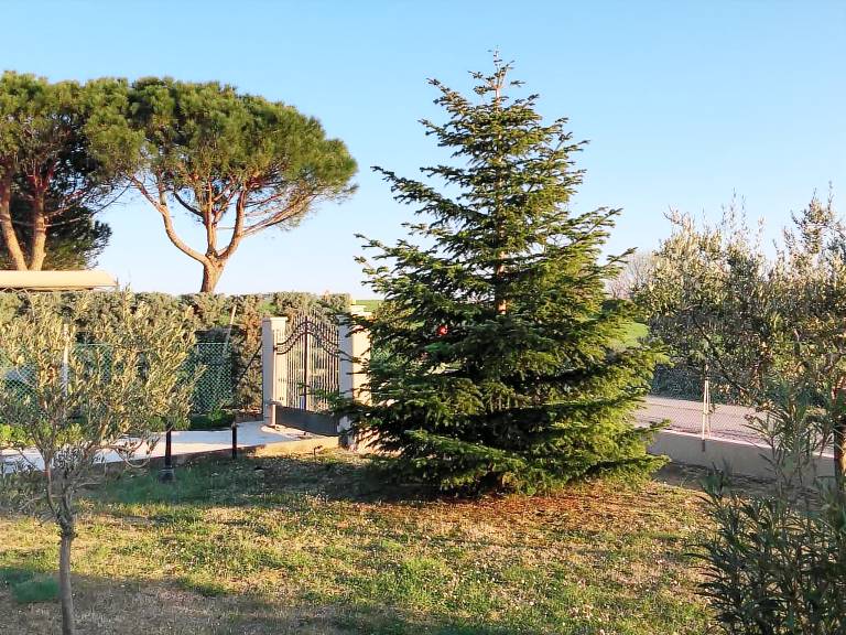 foto2