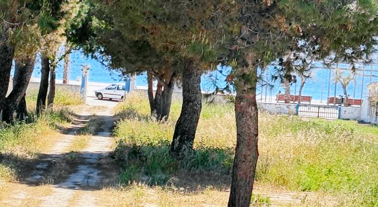 Vacation home with yard & terrace | Next to the beach | Pets are welcome in Fasano