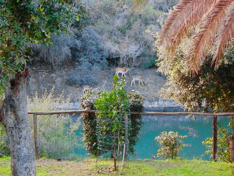 Appartamento Ansedonia