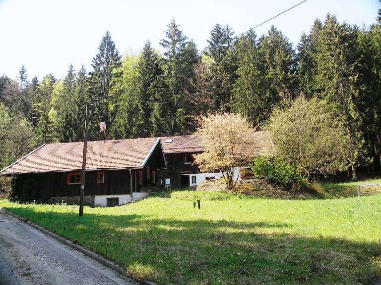 foto1