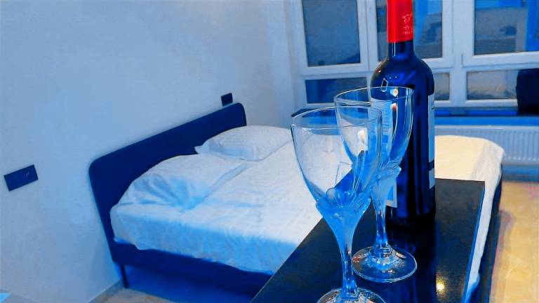 Pleasant apartment with hot tub | Beach nearby | Pets allowed in De Panne