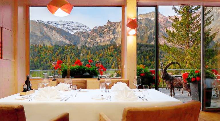 Hotel Waldegg - Adults only — photo 4