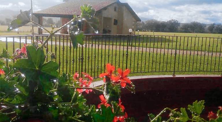 Farm with pool | Pet-friendly in Campagnatico