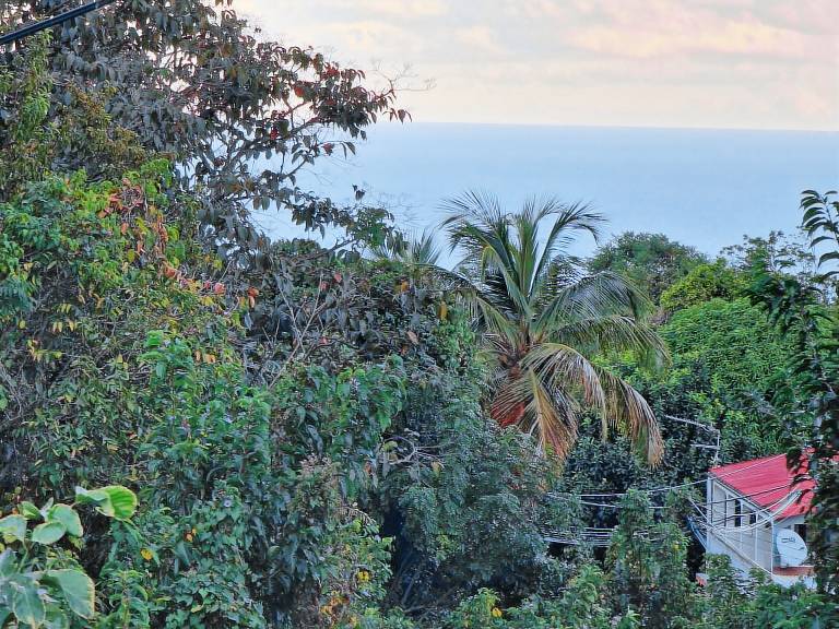 Maison de vacances Deshaies
