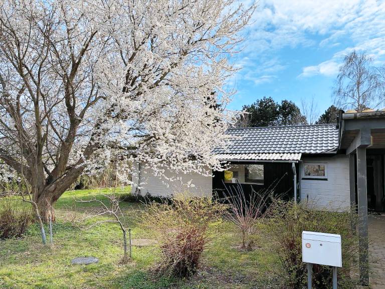 Holiday home near water, forest, and Møn's Cliffs — photo 2