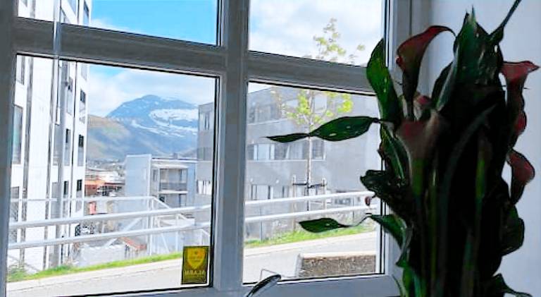 Apartment with 1 room for 4 persons — photo 4