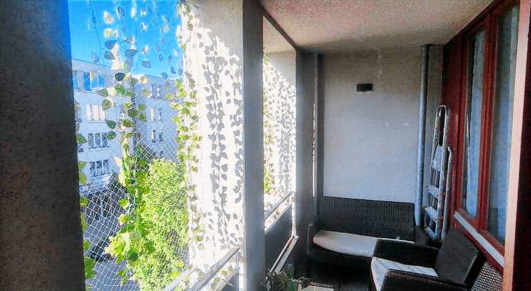 foto4